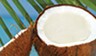 Coconut Creme